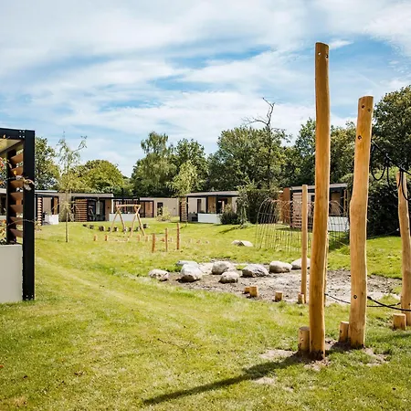 In Veluwe With Pool And Sauna 度假居 福尔特赫伊曾