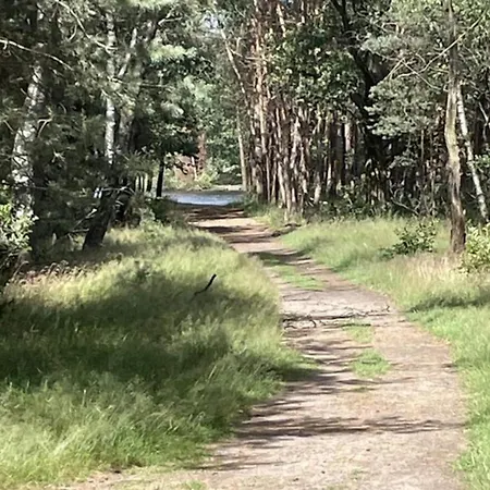 度假居 In Veluwe With Pool And Sauna *