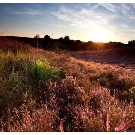 In Veluwe With Pool And Sauna *