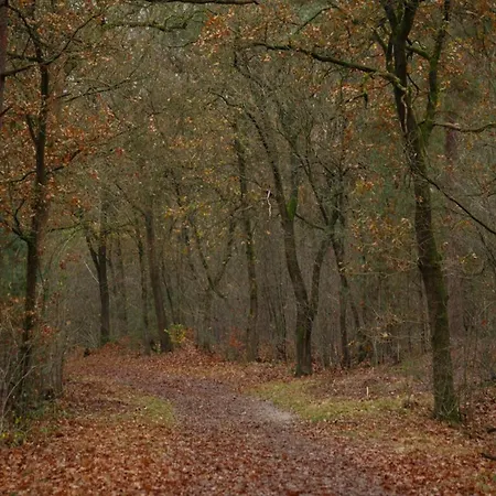 Beautiful In Prázdninový dům *