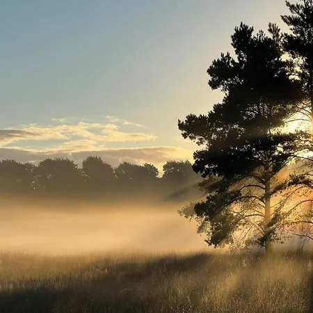 In Veluwe With Pool And Sauna *
