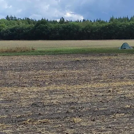 In Veluwe With Pool And Sauna 度假居 *