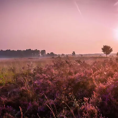 Beautiful In Voorthuizen